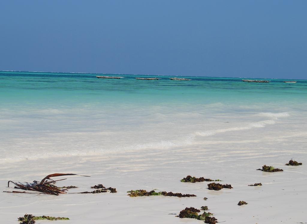Nakupenda Aparthotel Kiwengwa (Zanzibar)